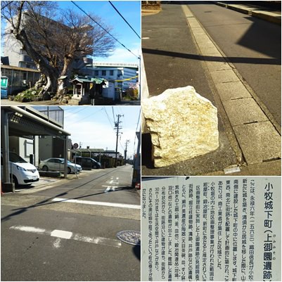 史跡小牧山概要版 小牧市