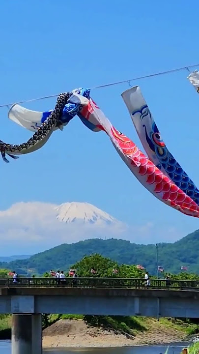 こどもの日に平塚市の鈴川鯉のぼりまつりへ 約120匹の鯉のぼりが五月晴れの大空を優雅に泳いでおり、毎年見ても雄大な大自然の景色とあいますねその後は実家で五月人形を飾り皆でお祝いこどもの日端午の節句鯉のぼりまつり平塚市平塚平塚市議会平塚市議会