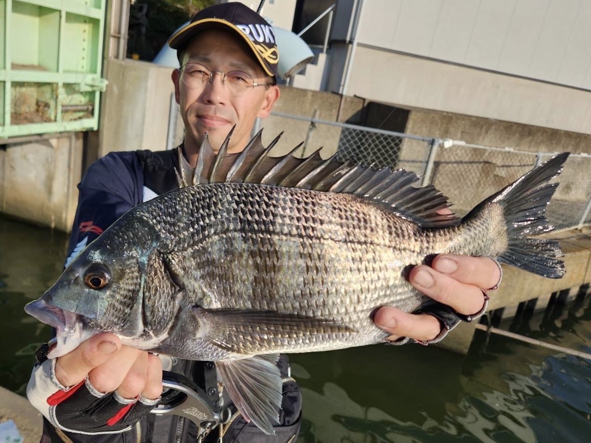 栃木県・那珂川水系でルアー釣り、”ヒレピン”ヤマメ！釣りビジョン マガジン釣りビジョン
