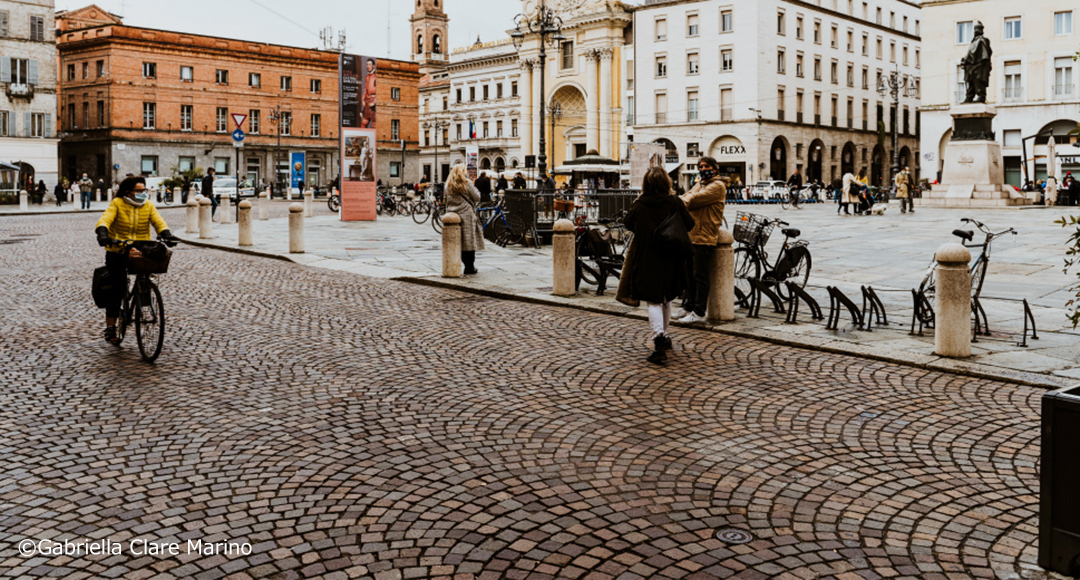 Amazon.co.jp: ヨーロッパの古城と宮殿ビジュアル選書: 藤井 信行: 本