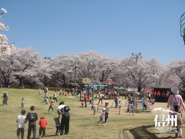 伊那 春日公園 : 塩尻 子育て