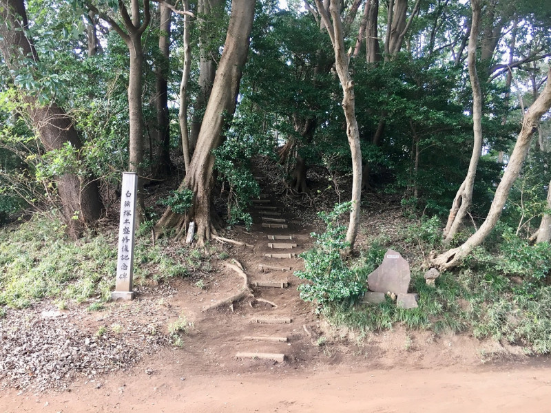 トトロ ☆ 伊東市きりんの日記☆静岡県周辺観光