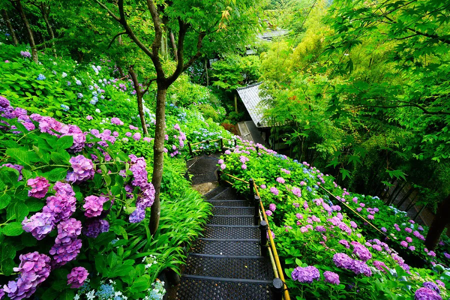 鎌倉を感じる穴場スポット10選！デートにおすすめのカフェやグルメも旅先で特別な結婚写真が残せるフォトジェニックジャーニー by