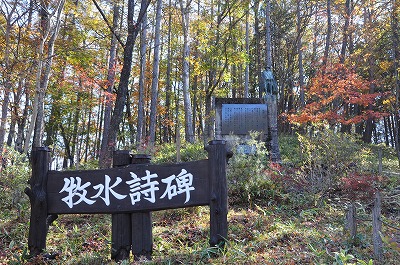 白砂渓谷ライン 紅葉巡り旅 -