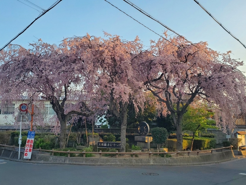 大佛鐵道記念公園・佐保川奈良女子大学生の学生マンションサイト