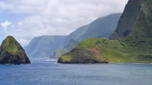 モロカイ島観光の醍醐味！おすすめスポットとアクティビティ15選VELTRA旅行ガイド