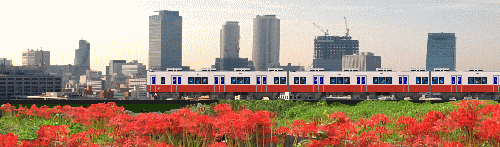 19,514 満員電車 Stock Videos, Footage,