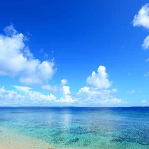 沖縄屈指のリゾート地を満喫！恩納村の人気観光スポット5選GOOD LUCK TRIP