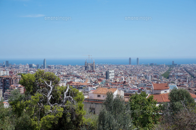 バルセロナ 図らずとも聖地巡礼tamedfoxのブログ