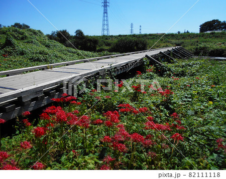 島田橋観光スポット一覧公式 埼玉観光情報 - ちょこたび埼玉