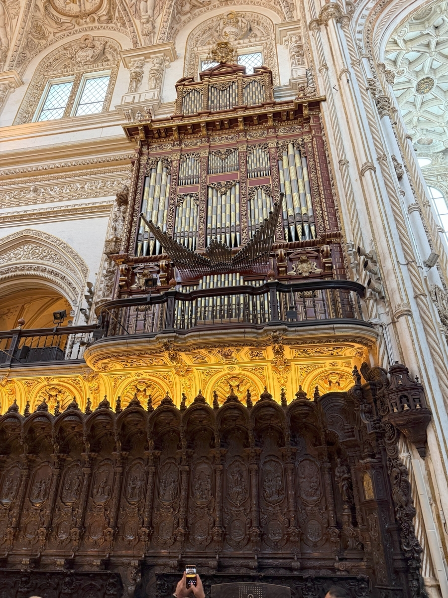 コルドバ空港。インフォメーションとアクセス方法spain.info