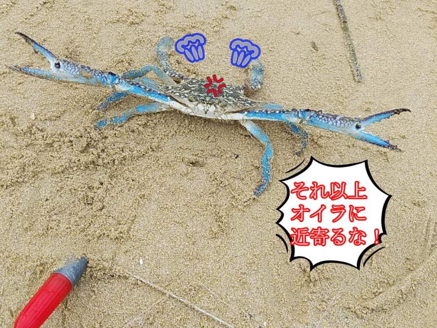 事代主神 コトシロヌシ 」釣り好きの豊漁の神えびす様とも日本人なら知っておきたいニッポンの神様名鑑Discover Japanディスカバー・ジャパン