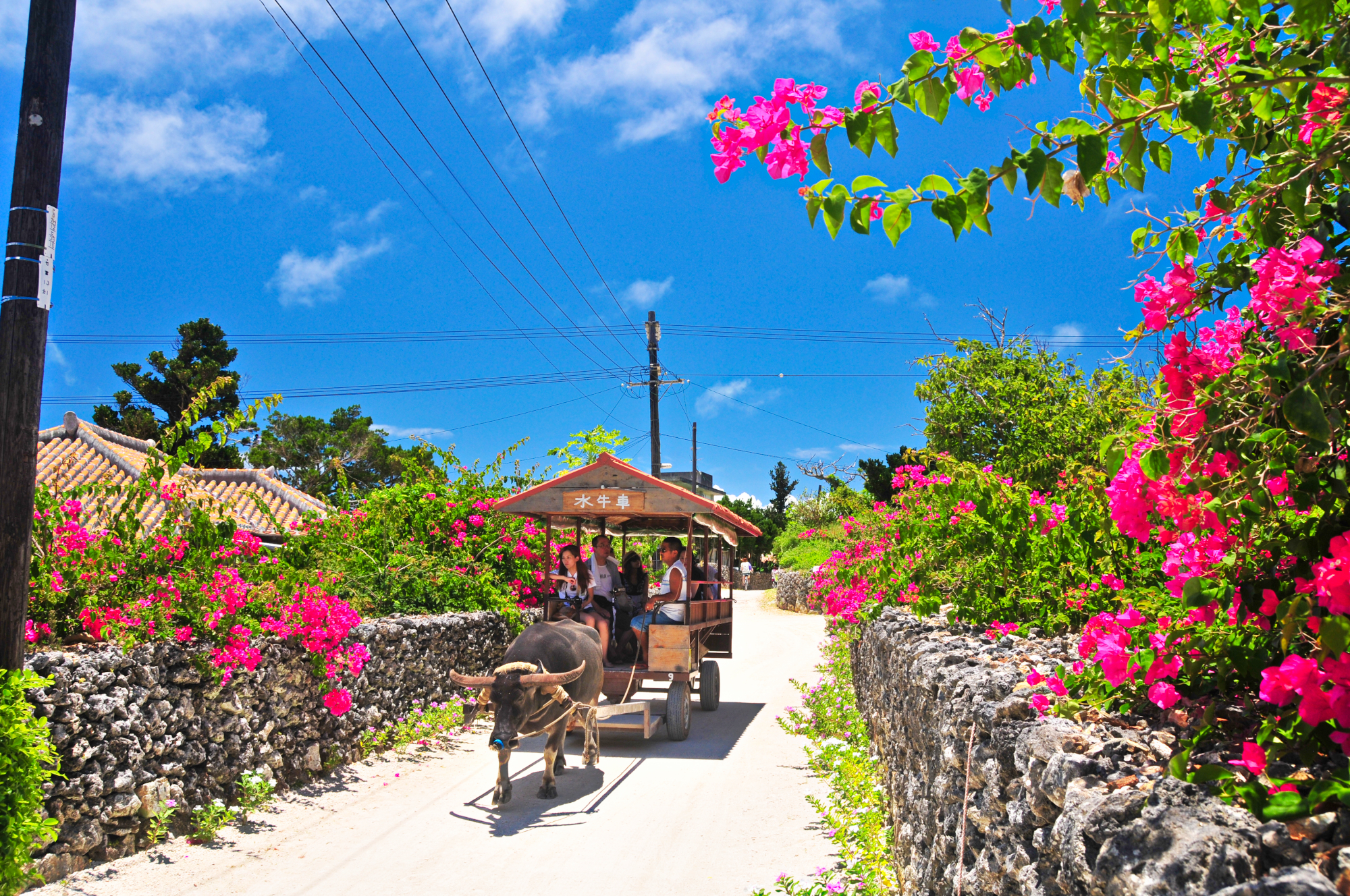 竹富島 個人シュノーケリングスポットと竹富島発ボートツアー - 石垣島貸し切り船ならミヤギマリン格安半日沖釣りツアー 体験！オールシーズン初心者の方や子連れのご家族様にもおすすめです