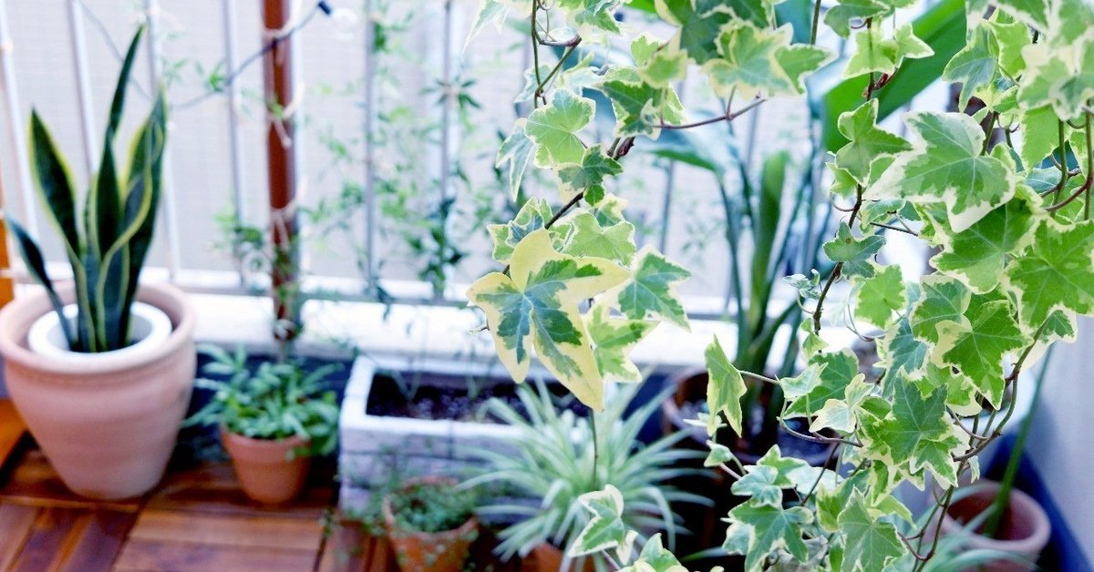 部屋全体 くつろぎ空間 ミックス＆リラックス