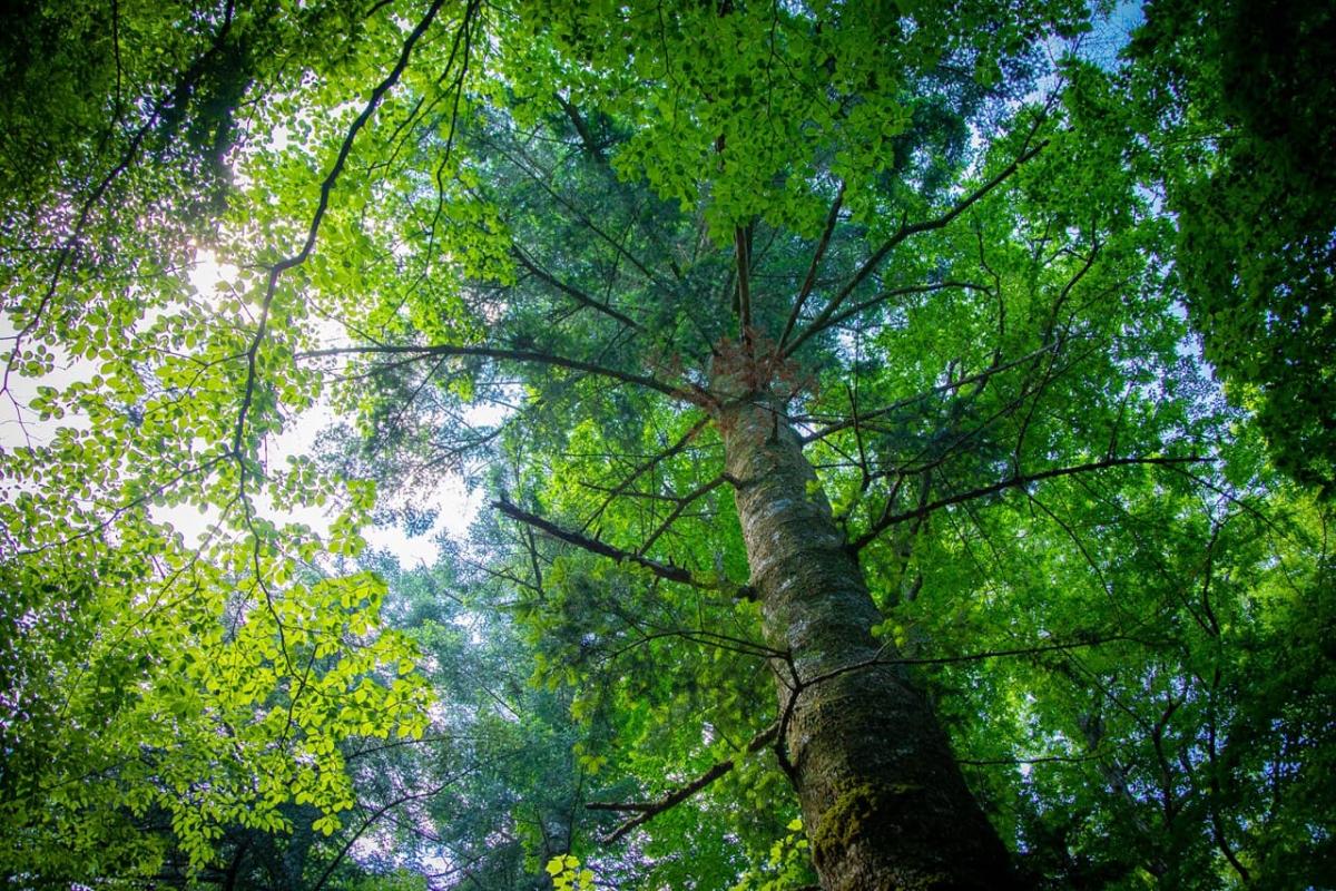 国土交通省 中部地方整備局 富士砂防事務所