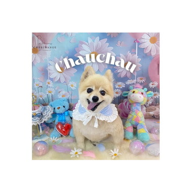 ホームズ roots桜上水 世田谷区