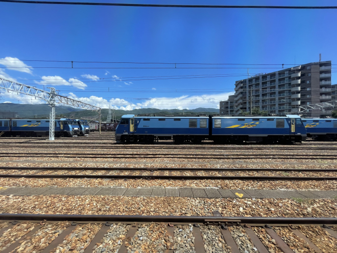 貨物列車を見に南松本駅・平田駅に行ってきた - 特急上高地回遊81号
