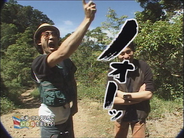 公式 水曜どうでしょうDVD第22弾「中米・コスタリカで幻の鳥を激写する！ 前枠・後枠傑作選」の見どころ