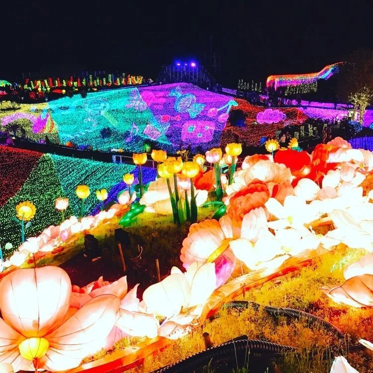 エリア別 静岡のおすすめデートスポット14選！定番から穴場までaumo アウモ