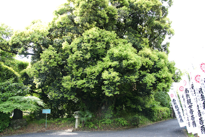観福寺の紅葉2010 千葉県 香取市: