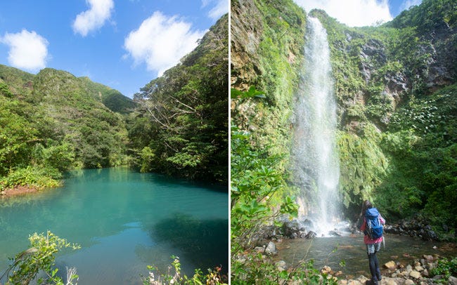 八丈島の観光情報東京アイランドドットコム東京諸島観光連携推進協議会 公式サイト