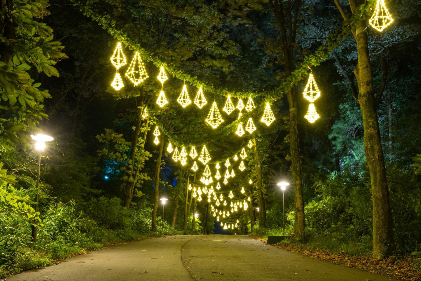 歳末レッサーパンダ詣とイルミネーションで良い年を願う ３ 西武園ゆうえんちのイルミージュは花鳥風月のファンタジーカラーの光の森』所沢 埼玉県