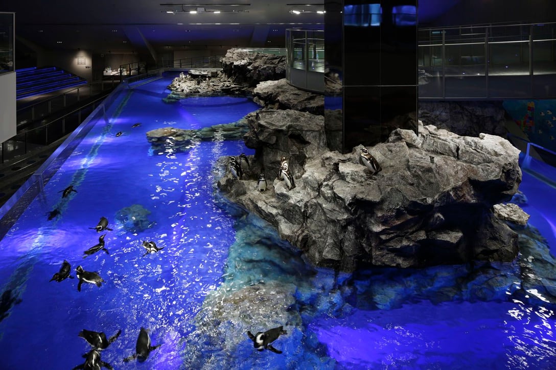 オファー: 東京スカイツリーと隅田川水族館チケット - Hellotickets
