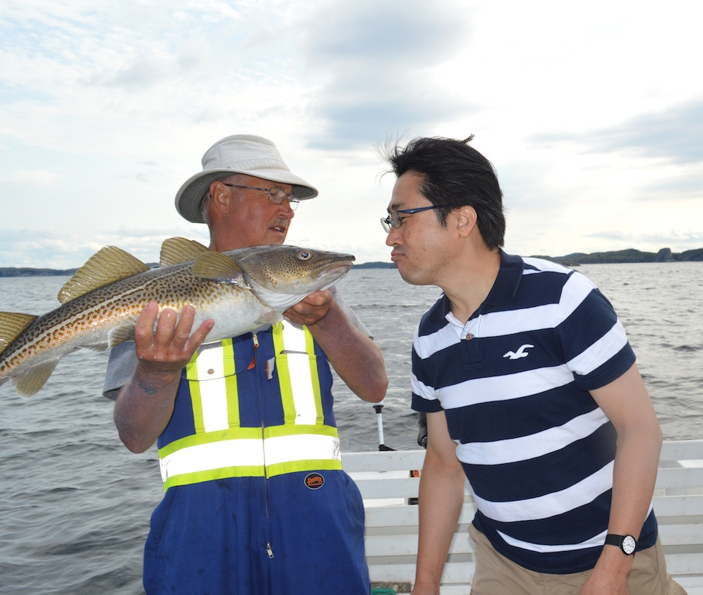 ハリケーンの去ったニューファンドランド島写真家 谷角 靖オフィシャルブログ「オーロラの降る街 -谷角絶景劇場-」Powered by
