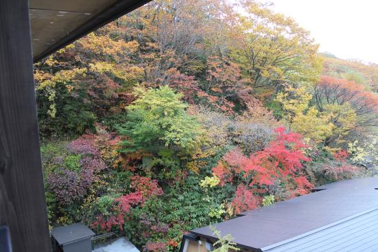 3つの源泉を掛け流し・大丸温泉旅館 奥那須温泉- ぽん太のよりみち精神科