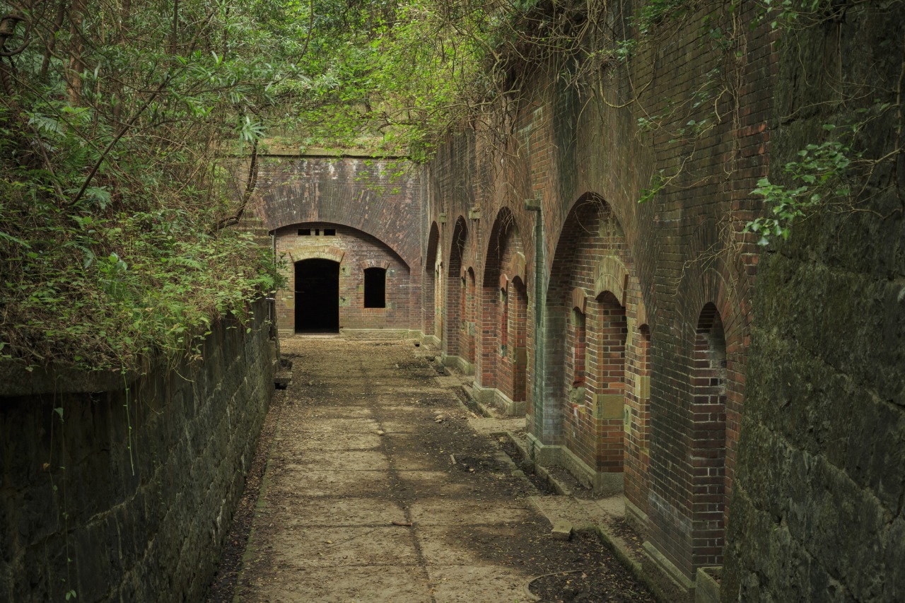 和歌山県、砲台の残るジブリ映画みたいな無人島で遊ぶ - Japan Travel