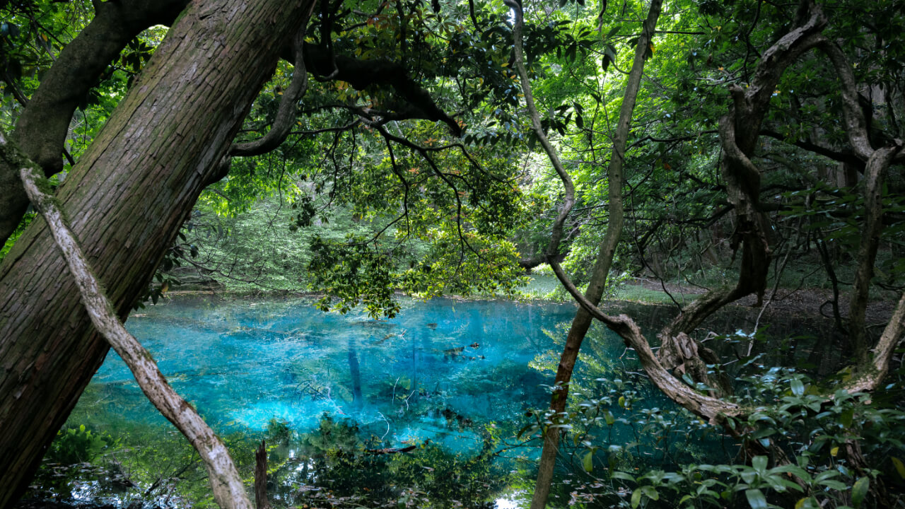 神秘的な池「丸池様」の観光情報！ 見所・駐車場情報など