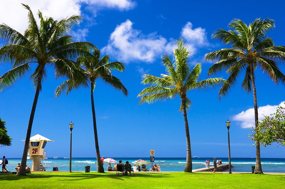 2025 ハワイのビーチおすすめ19選！有名から穴場まで楽しみ方を紹介