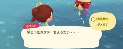 あつまれ どうぶつの森』ホタテを食べるラコスケや水槽を殴るシャコ─海開きには細か～い作り込みがいっぱい！インサイド