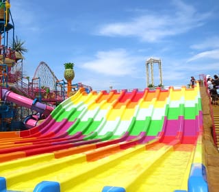 関西 のペットと泊まれる宿のおすすめ施設愛犬・ペットと泊まれるお宿探しなら「いぬやど」