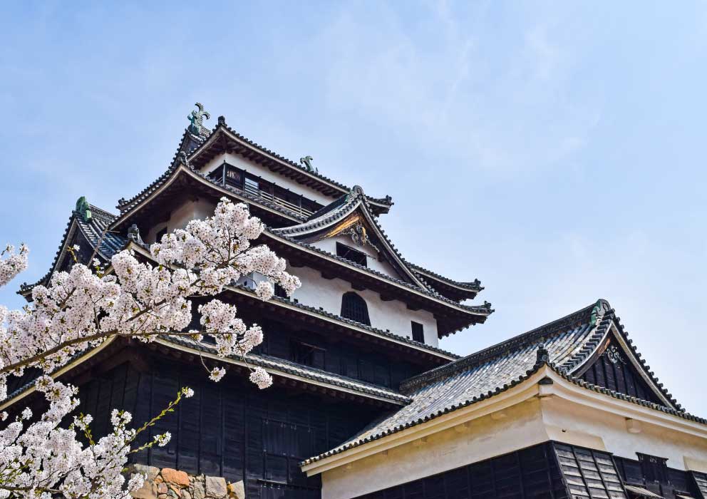 松江城 天守入場券アソビュ