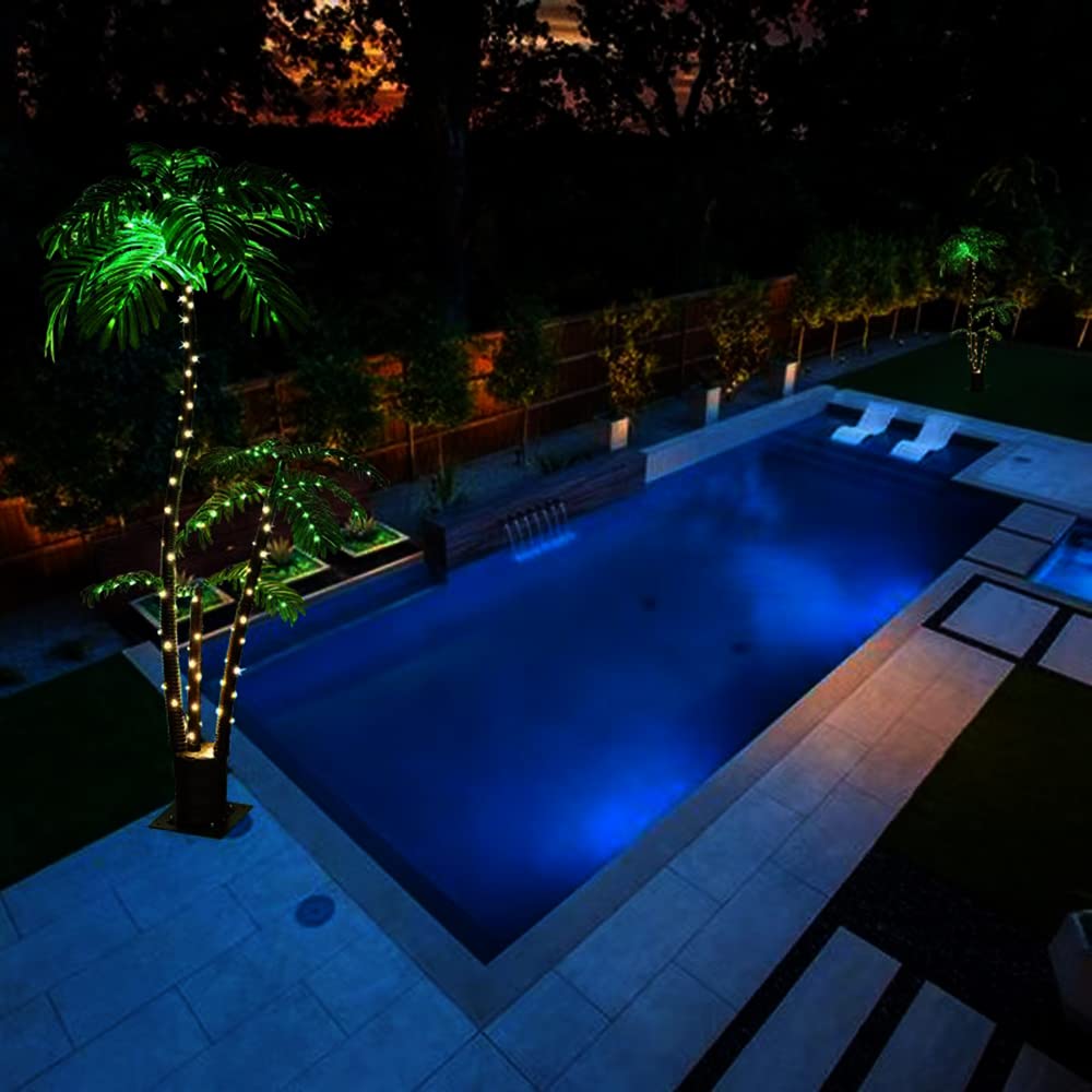 asahi.com：アメリカ人も恋するＫＯＩポンド - 住まいコラム「世界のウチ」