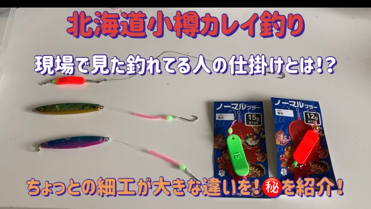 大型カレイの博覧会！？カレイの天国北海道は格が違った 北海道室蘭港TSURINEWS