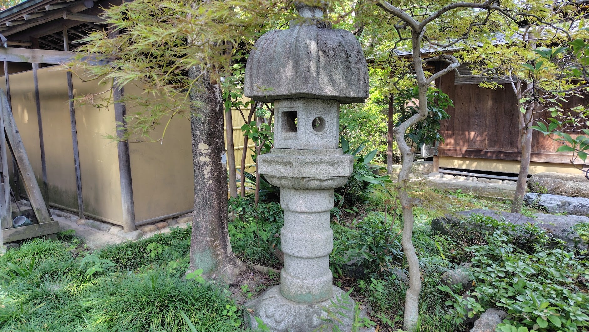 武家屋敷のしだれざくらとちぎ旅ネット〜栃木の観光旅行情報サイト