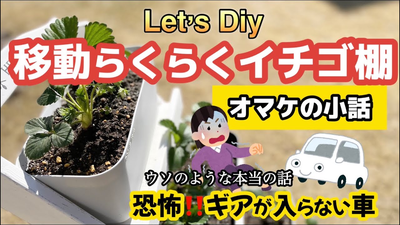 苺フリークな娘のために、苦手な家庭菜園を始めました ！ミッシェルの調理家電芸