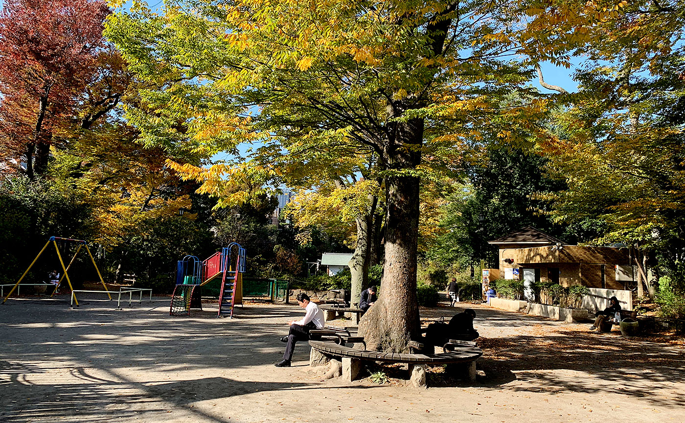 春のお散歩にピッタリ！鍋島松濤公園✨今日は渋谷駅から徒歩12分のところにある「鍋島松濤公園」に行ってきたワン🐕遊具の他に、大きな池と水車があって、昔ながらの景色を楽しめたよ！ 「鍋島松濤公園」という名前は、明治時代に佐賀県の藩主である鍋島家がこの一帯