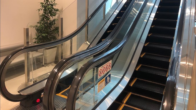 大きなゴールデンが飼い主さんに抱っこされてエスカレーター乗るその姿がかわいすぎる！！ 海外・動画ガジェット通信 GetNews