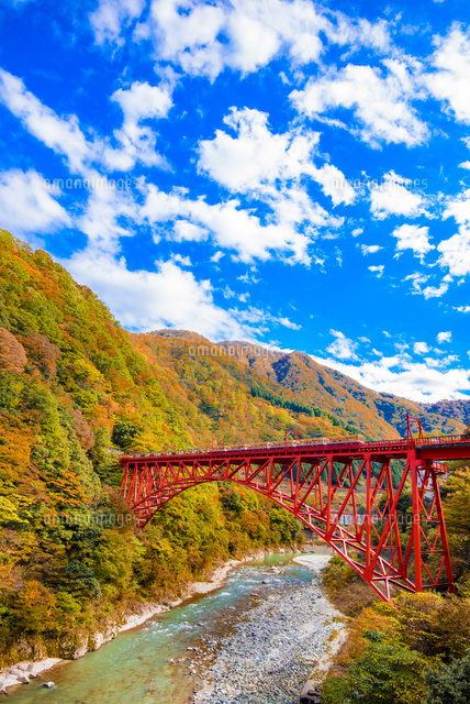 紅葉シーズンに訪れるならここ！絶景の黒部峡谷トロッコ電車♪ - Tripa