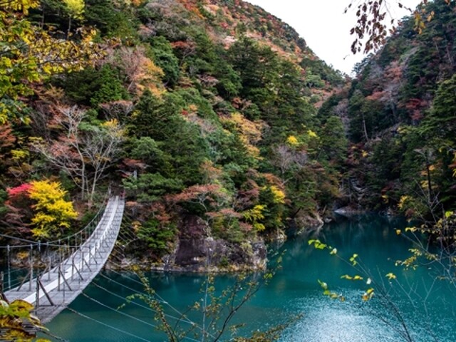 GWに行くべき！静岡・夢の吊り橋の絶景体験