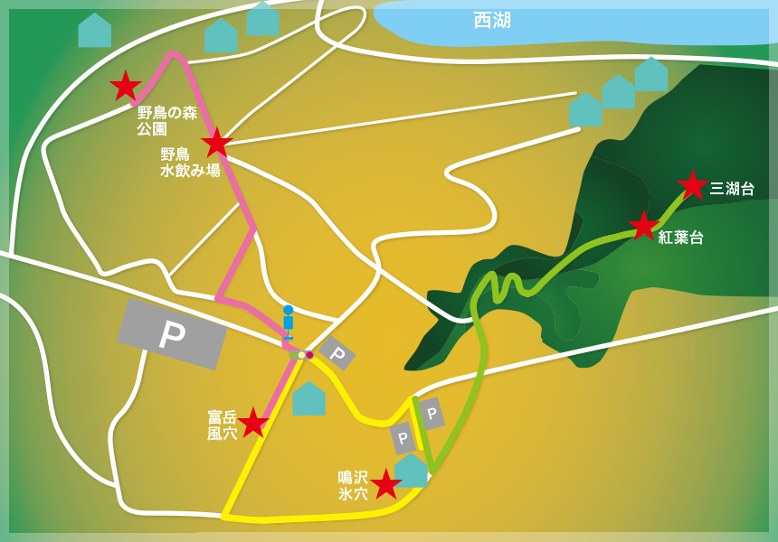 防災総合センター １．本栖湖岸の青木ヶ原溶岩