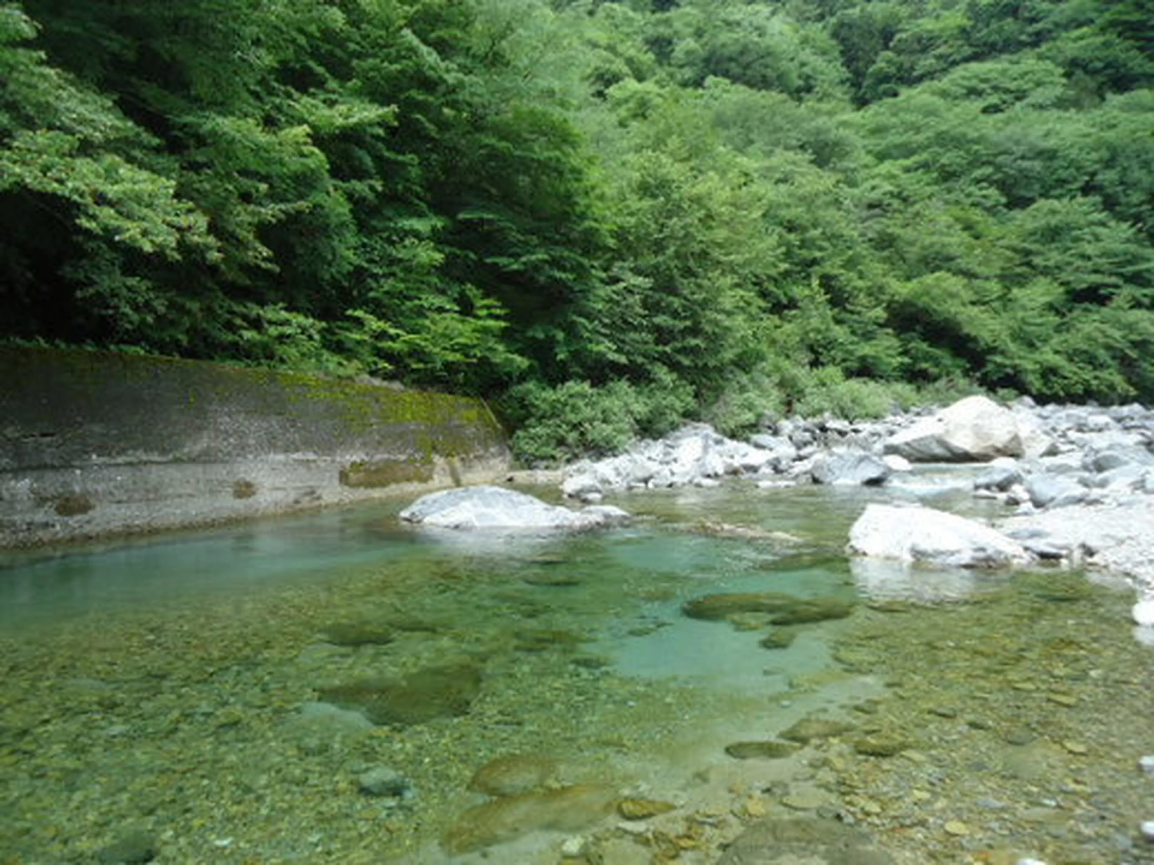 本谷オートキャンプ場 中津川市 ‎満福バーベキュー場ナビサイト