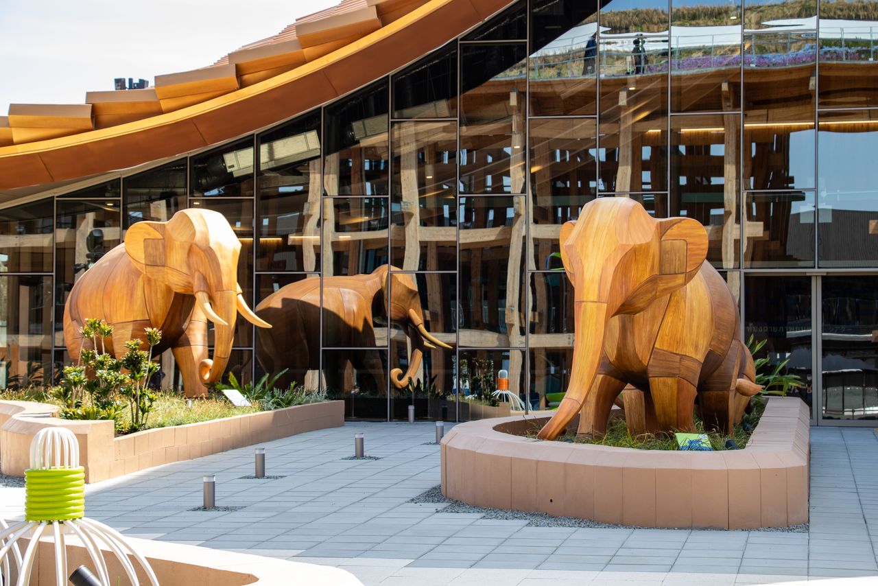 大阪・関西万博 タイ館レストラン完全ガイド│週替わりタイ料理メニューやマッサージ、予約・口コミ情報などをご紹介！小顔＆骨盤矯正サロンkinoe