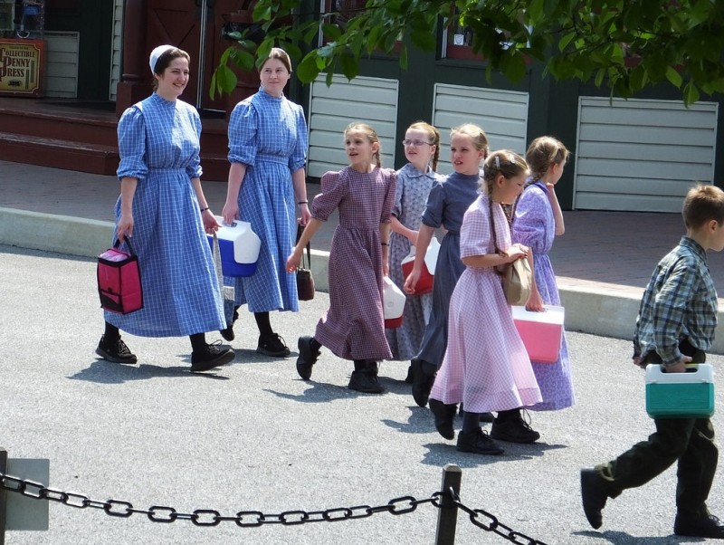 電気も車もない昔ながらの生活。 アーミッシュ の人々に見る人間本来の姿キナリノ