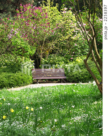 ヨーロッパの都市公園の通路のベンチとランタンPremium写真