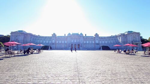 ノートルダム大聖堂の再開