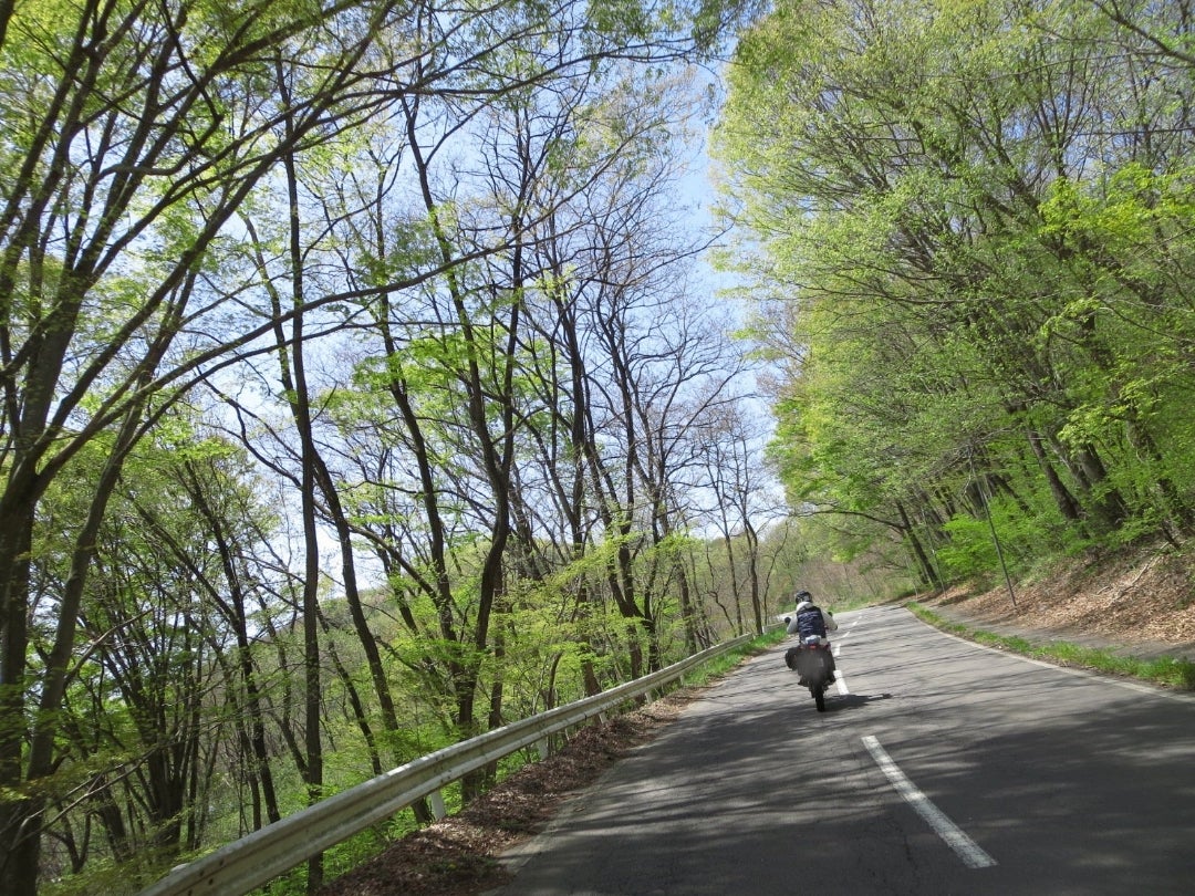 🏍おすすめツーリングロード< 長野県道12号アルプス展望道路長野県 > 聖高原を回り込むように進む県道12号。道中は道祖神や展望 台などもあり里山の風景を楽しみながら走ることができる。特に秋は目の前に広がる紅葉の向こうに雪を被ったアルプスの絶景が眺められる